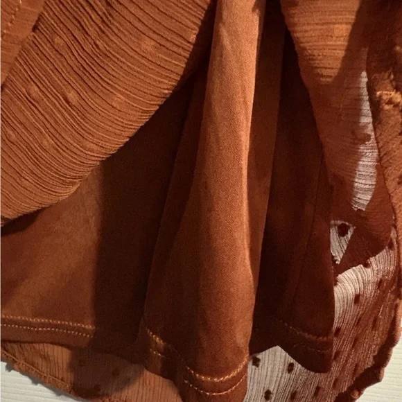 Linda Anderson Rust Orange Swiss Dot Lace Yoke Long Sleeve Bohemian Office Dress - Picture 6 of 9